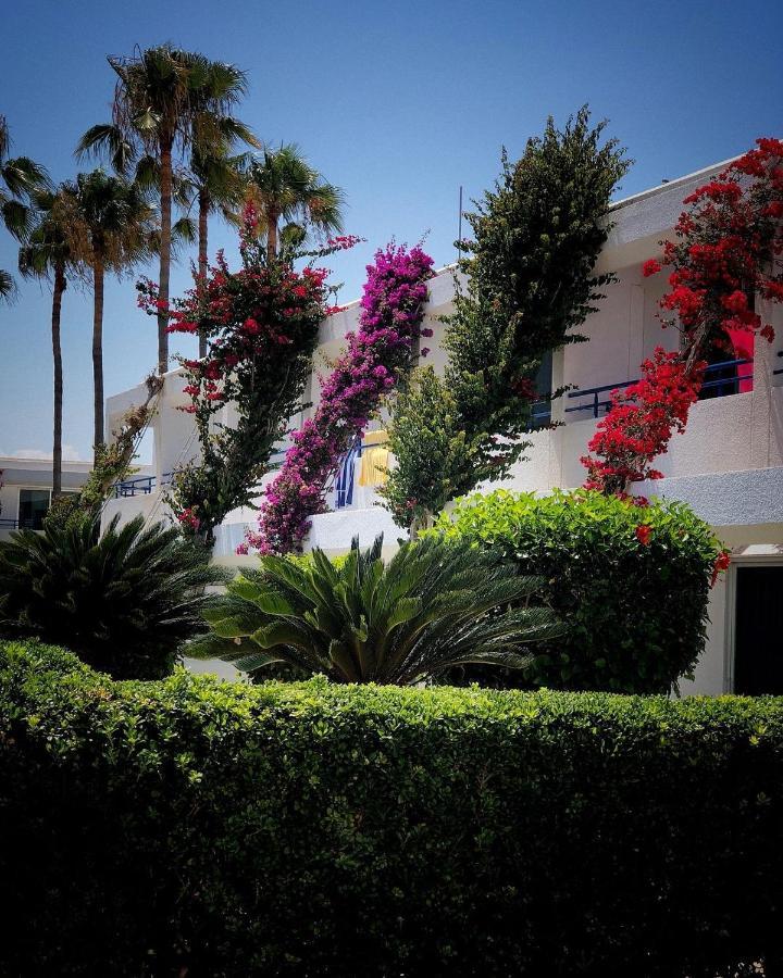 Hotel Dome Marina & 4*