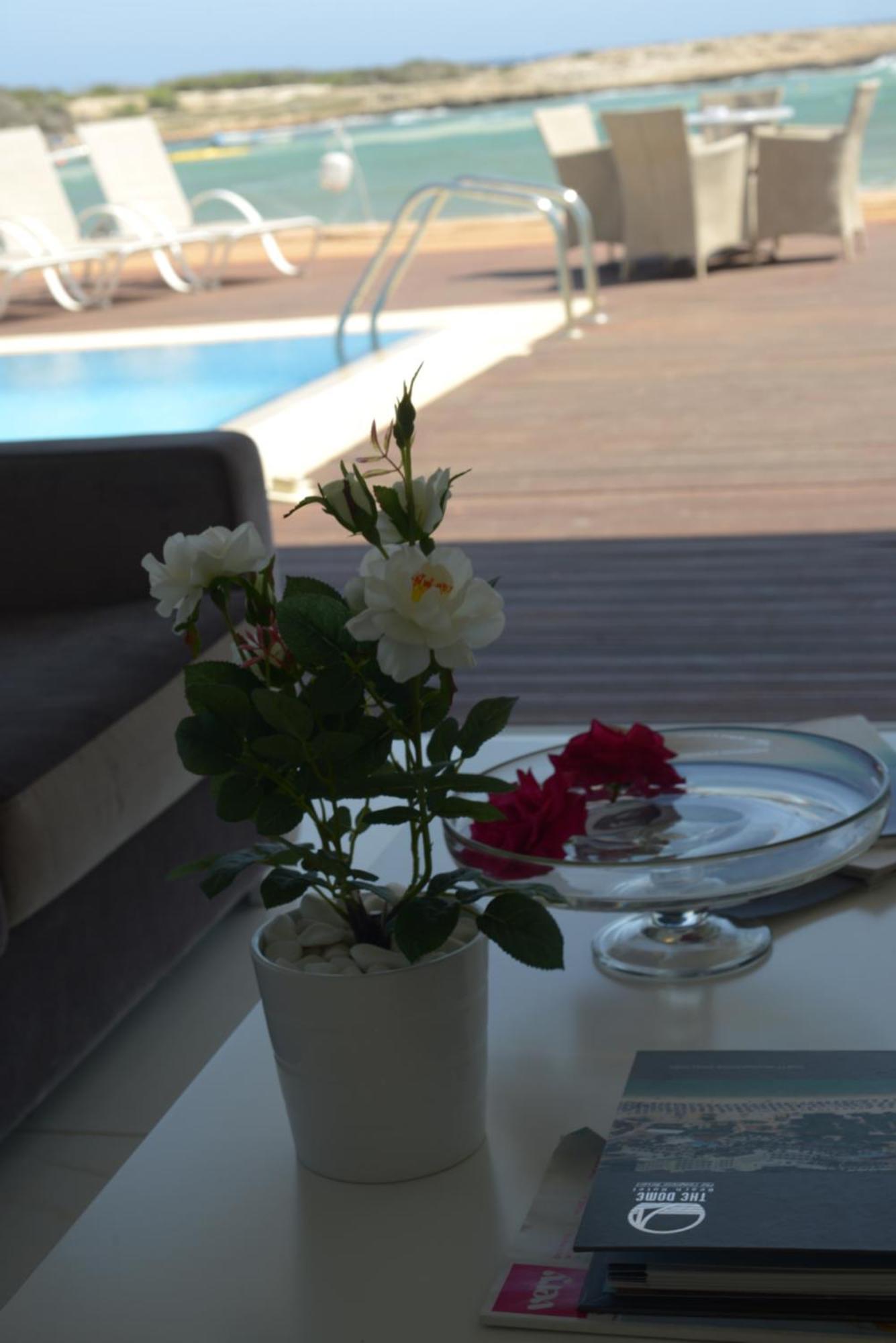 Dome Marina &