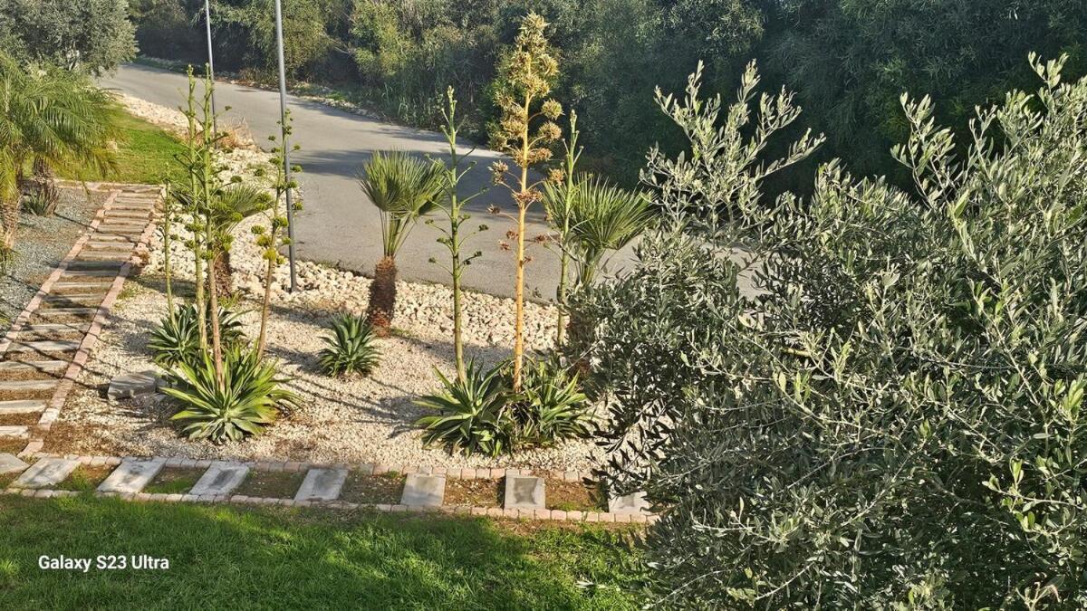 Beachfront Luxury Idania Villa Ayia Napa