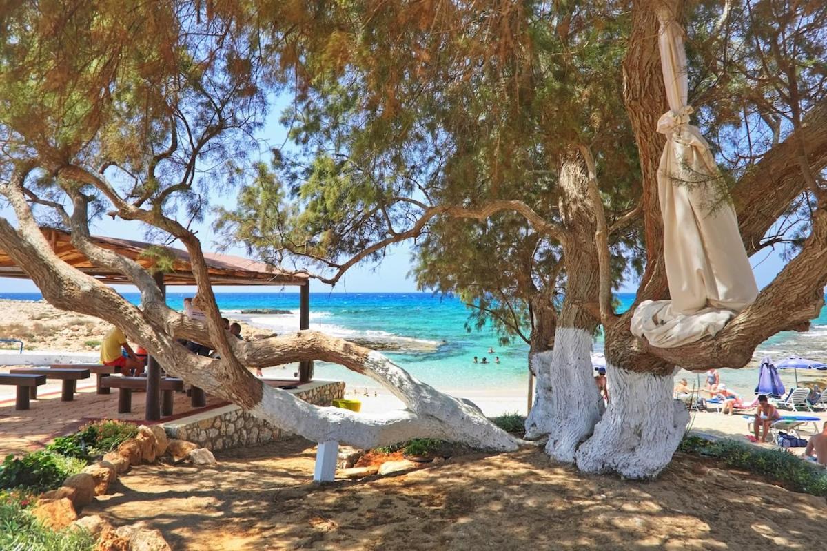 Beachfront Luxury Idania *