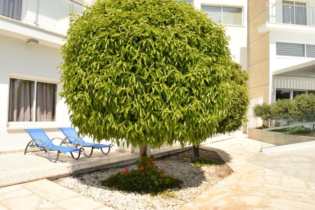 Hotel Fedrania Gardens 2*