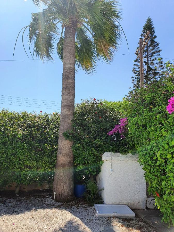 Nissi Beach Luxury Villa Agia Napa