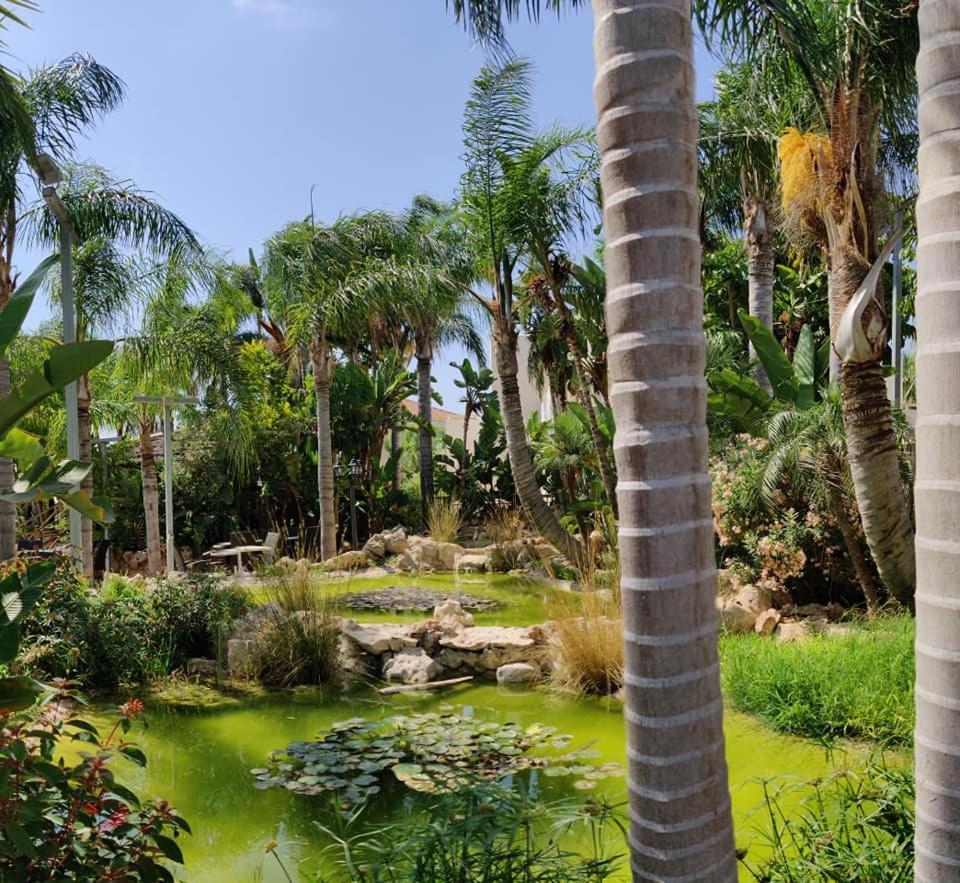 Garden Luxury Ayia Napa