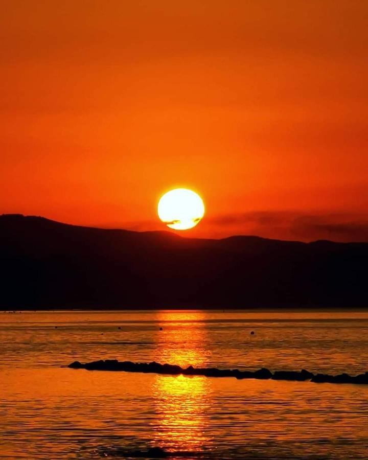 Romana Pousada Agia Napa
