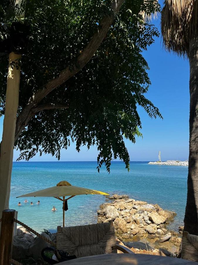 Apartment Viking Family Superior Lux Agia Napa
