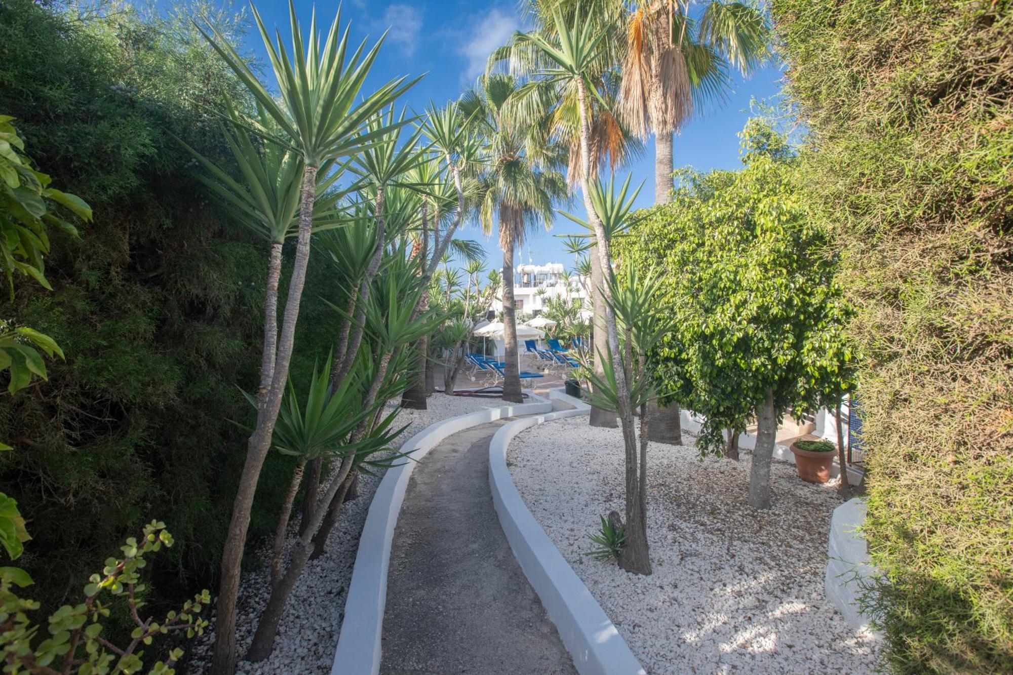 Aparthotel Pavlinia & 3*