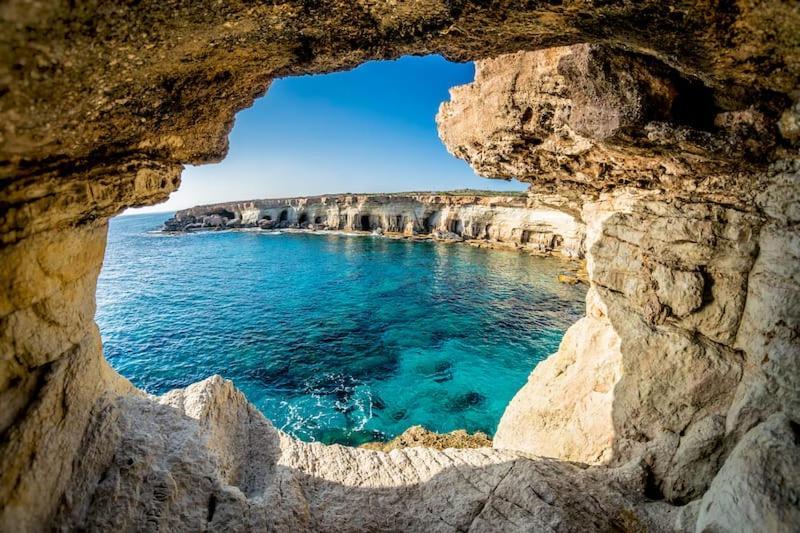 -65 Percent Off - Center Ayia Napa