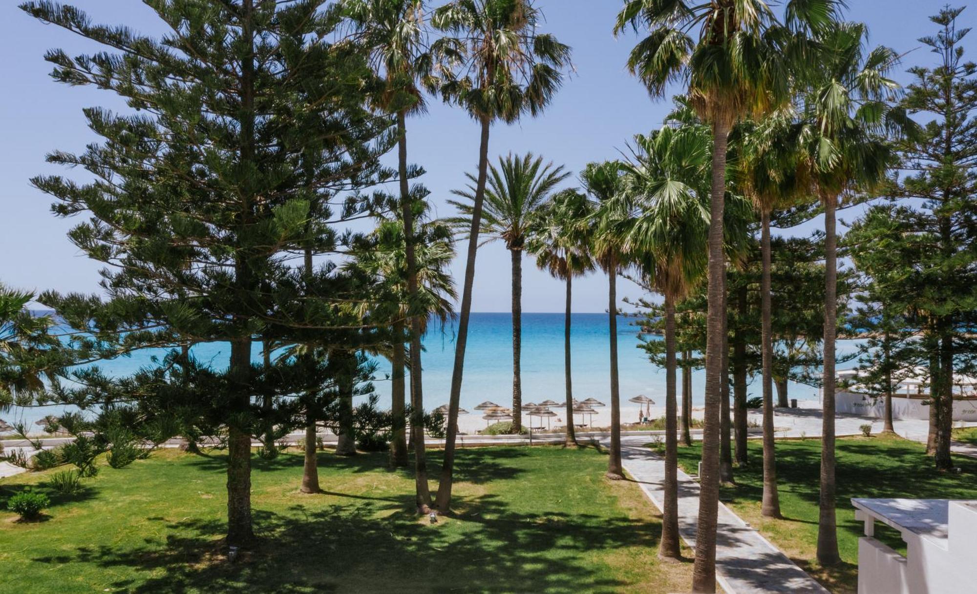 Nissi Resort