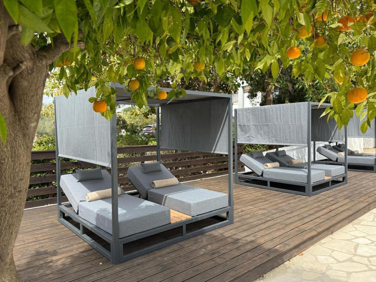 Cyprotel Florida 4* Ayia Napa
