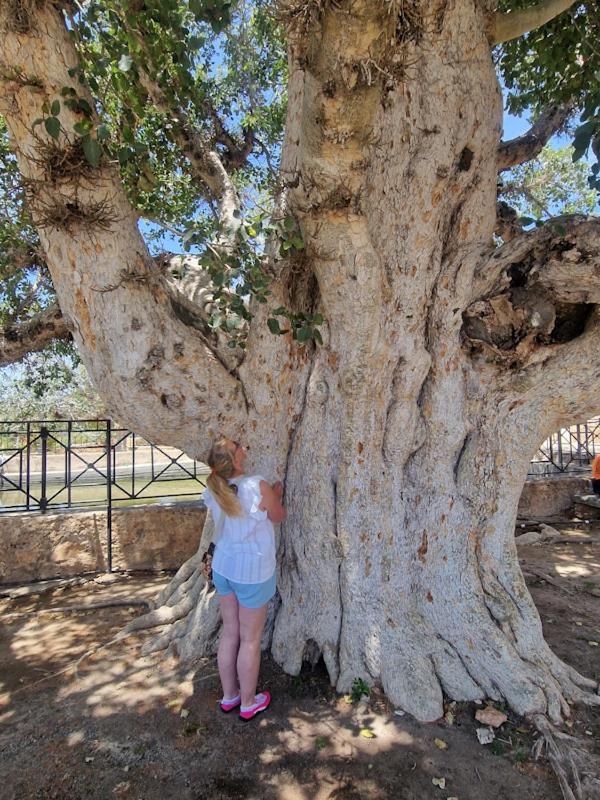Apartamento Awaken Your Divine Self Sacred Self Discovery Retreat In Cyprus Agia Napa