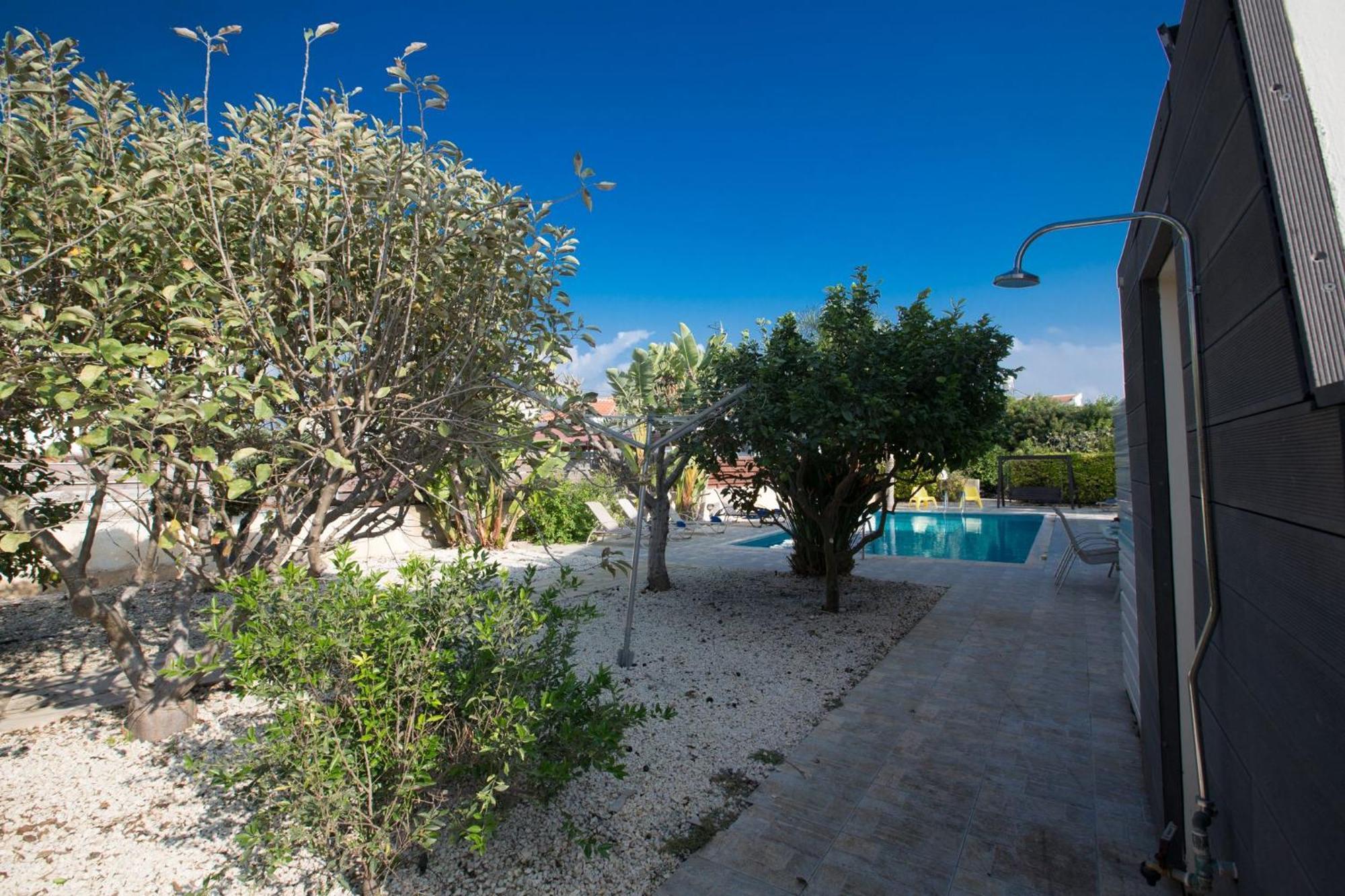 At26 * Ayia Napa