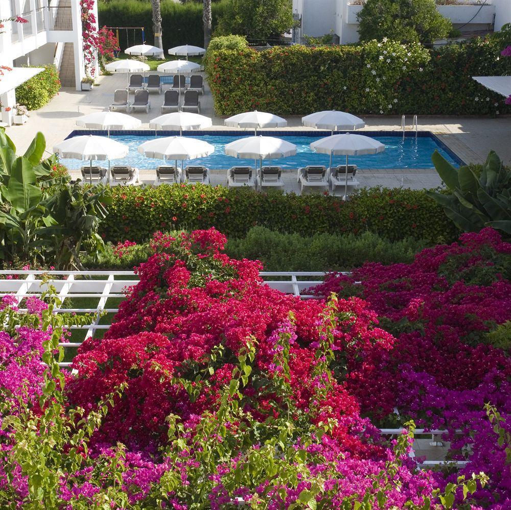 Nissi Park 3*