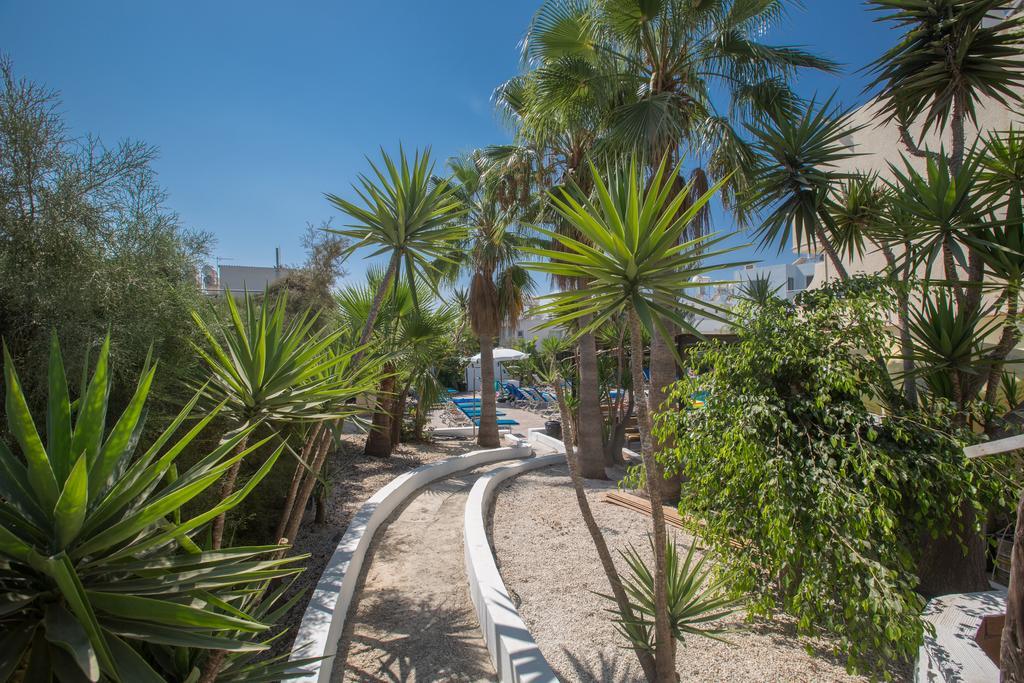 Pavlinia & 3* Ayia Napa