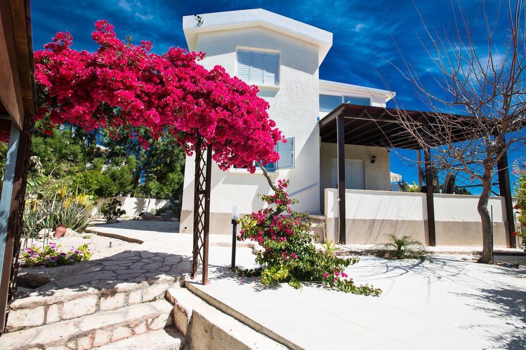 Villa Merab Center