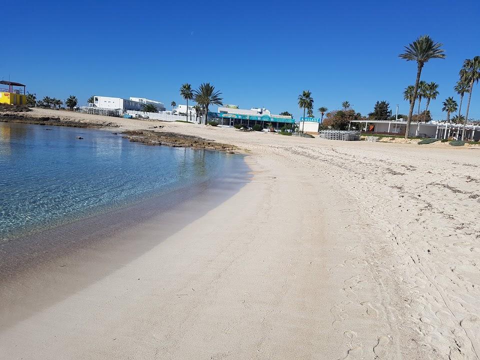 Christopher's Sandy