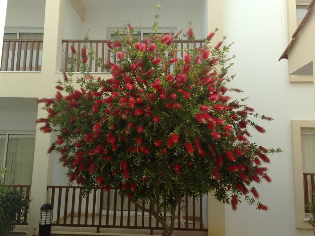Aktea Village Resort Ayia Napa