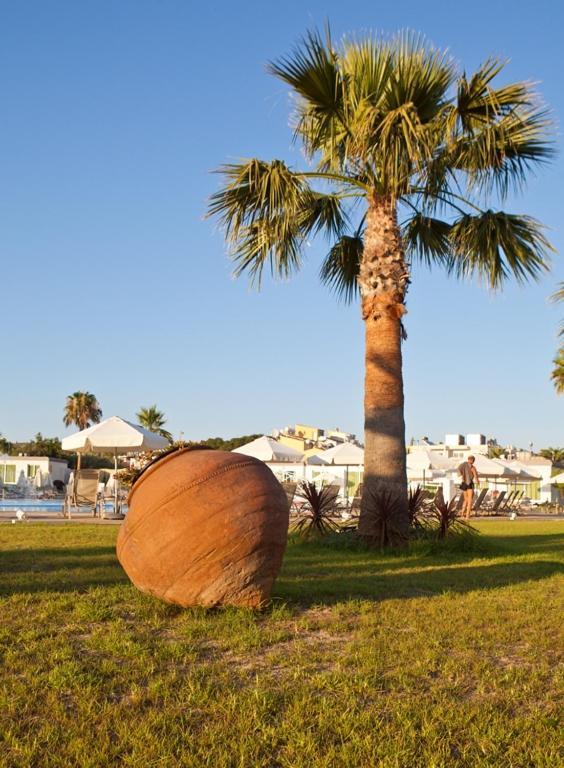 Sunprime - Adults Only Hotel Agia Napa