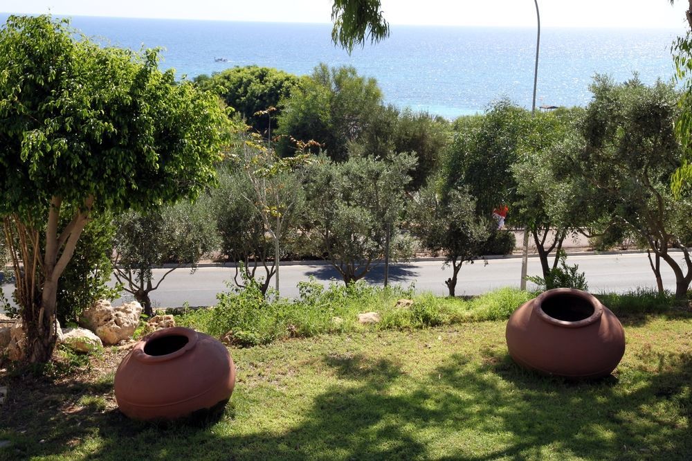 Amarande (adults Only) Hotel Agia Napa