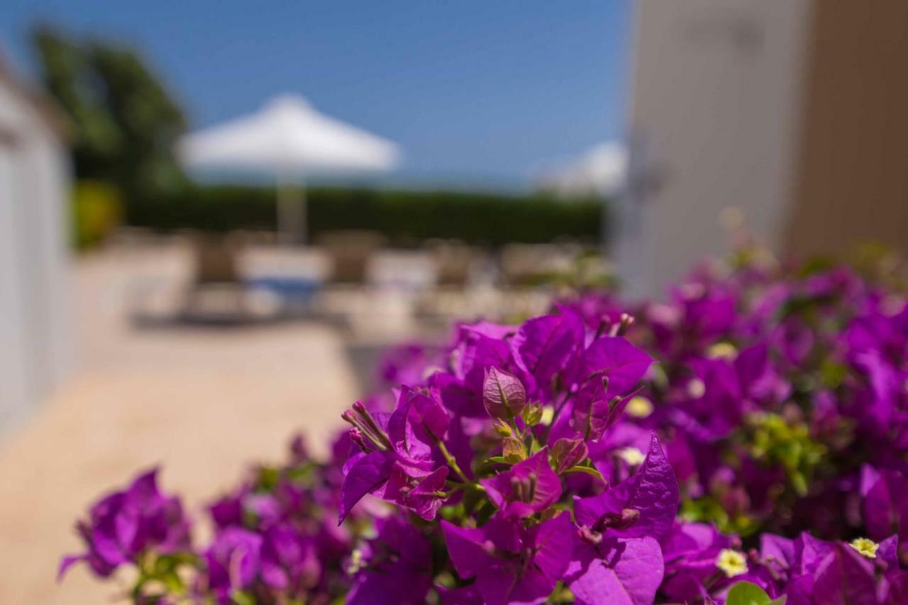 Villa Oceania 21 Agia Napa