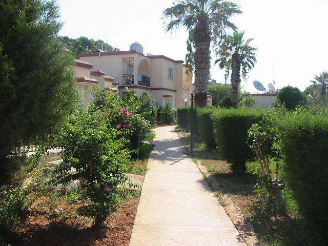 Kaos 2* Agia Napa