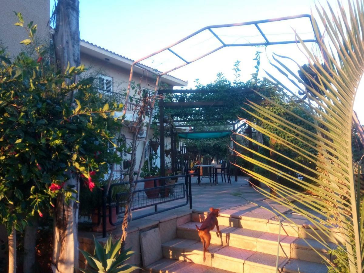 Mersinia * Ayia Napa