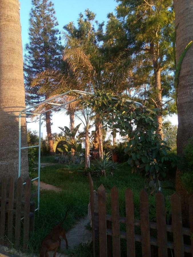 Mersinia Ayia Napa