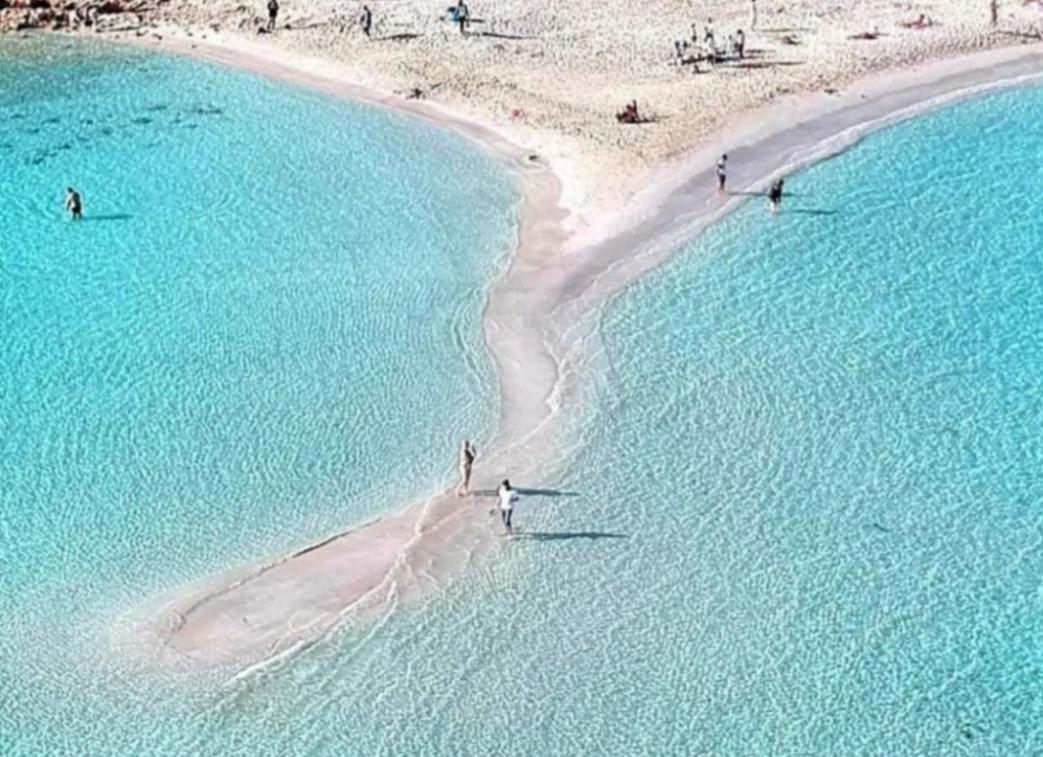 Christopher's Sandy *