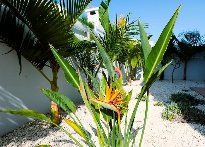 Nissini Blanco, 3 Bedroom Villa With Private Pool, 5 Min To The Beach