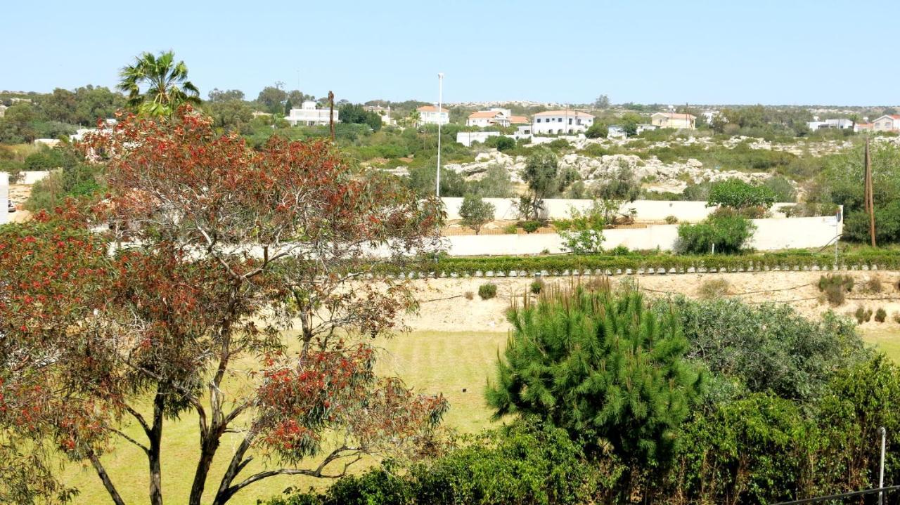 Marina Agia Napa