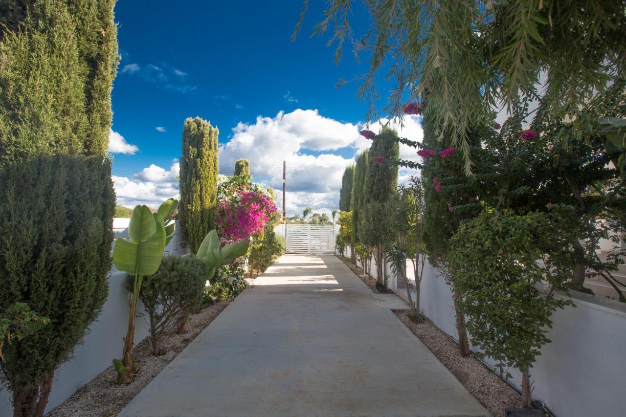 Villa Andriana Ayia Napa