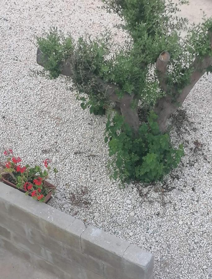 Ellenapa Apts & * Ayia Napa