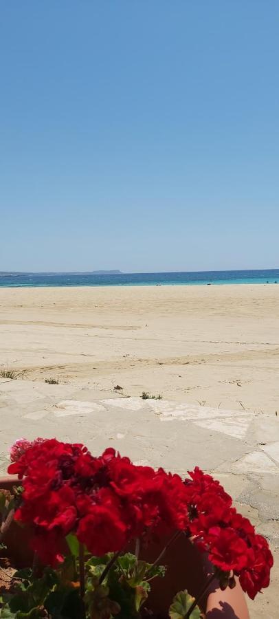 Apartment Panthoma Casa Ayia Napa