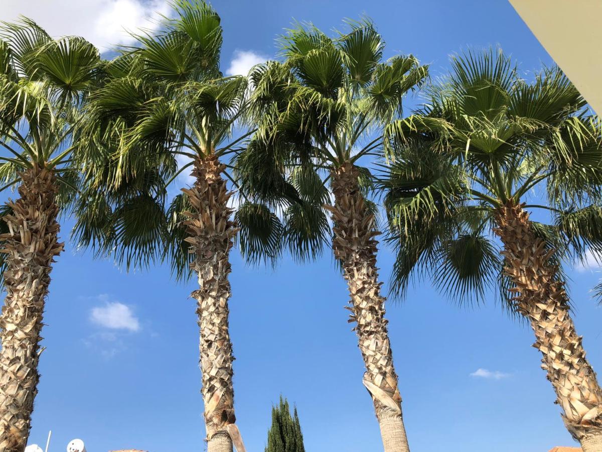 Ponderosa * Ayia Napa