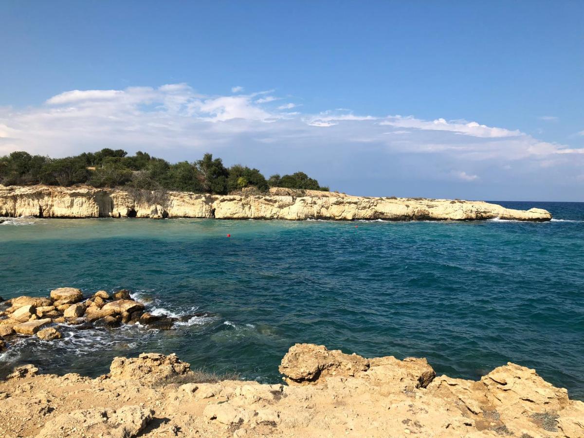 Ponderosa * Ayia Napa