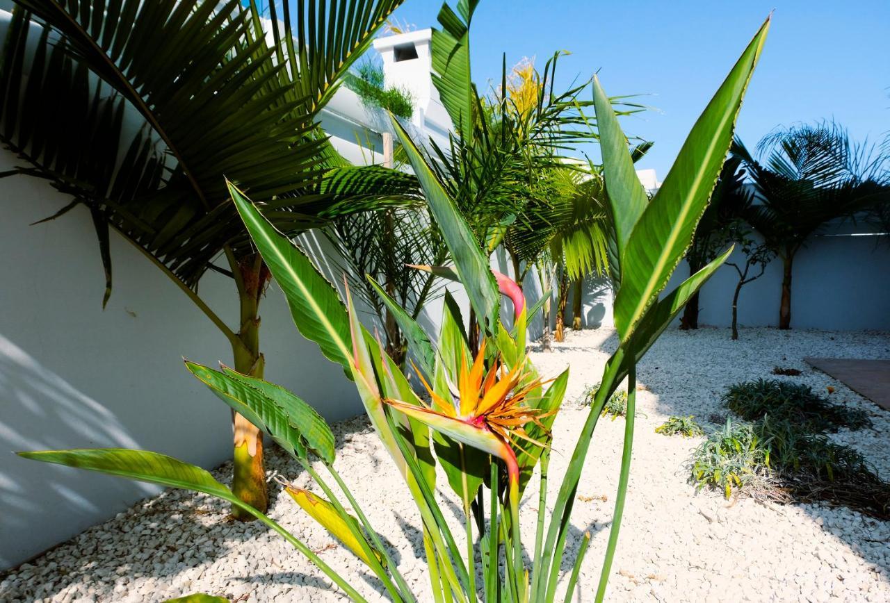 Nissini Blanco, 3 Bedroom With Private Pool, 5 Min To The *