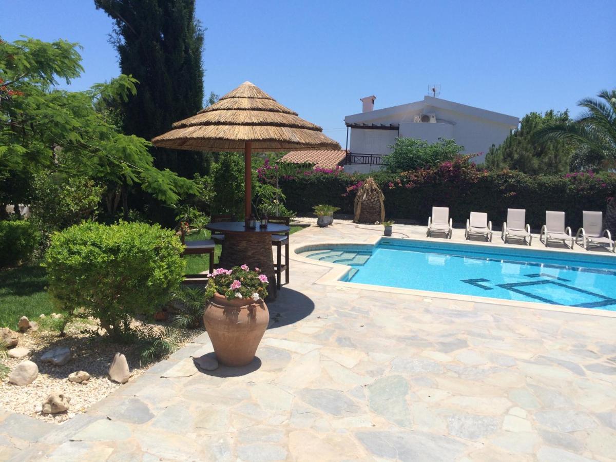 In With A Pool! Villa *