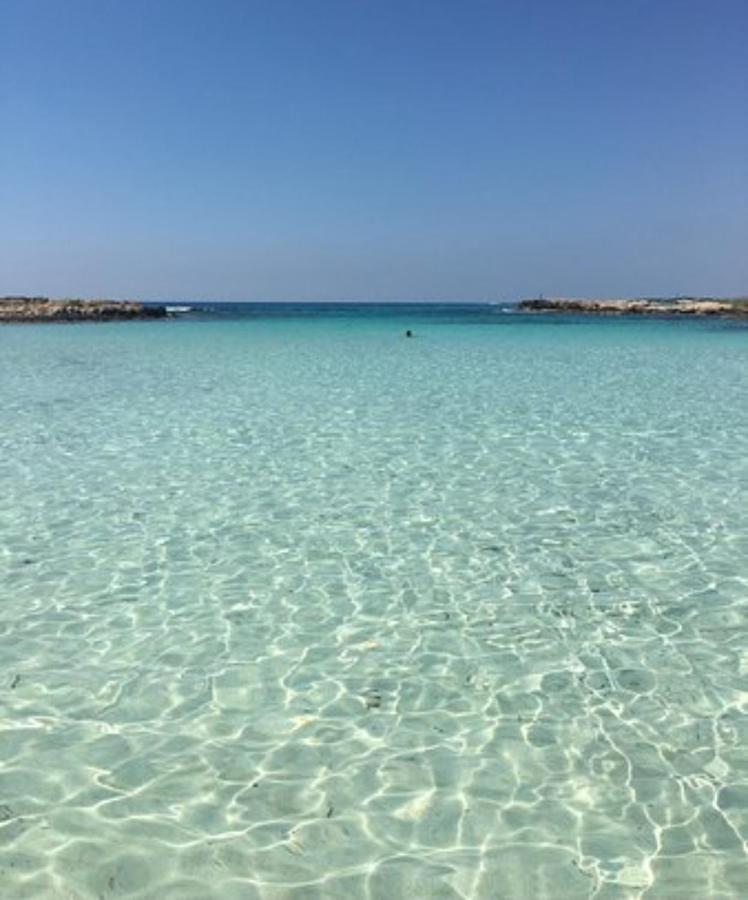 Nissi Golden Lovely One Bedroom With Spacious Terrace And Free Parking Ayia Napa
