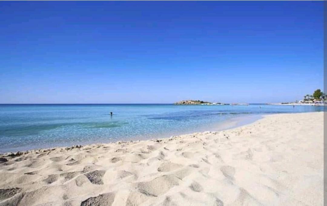 Nissi Golden Lovely One Bedroom With Spacious Terrace And Free Parking