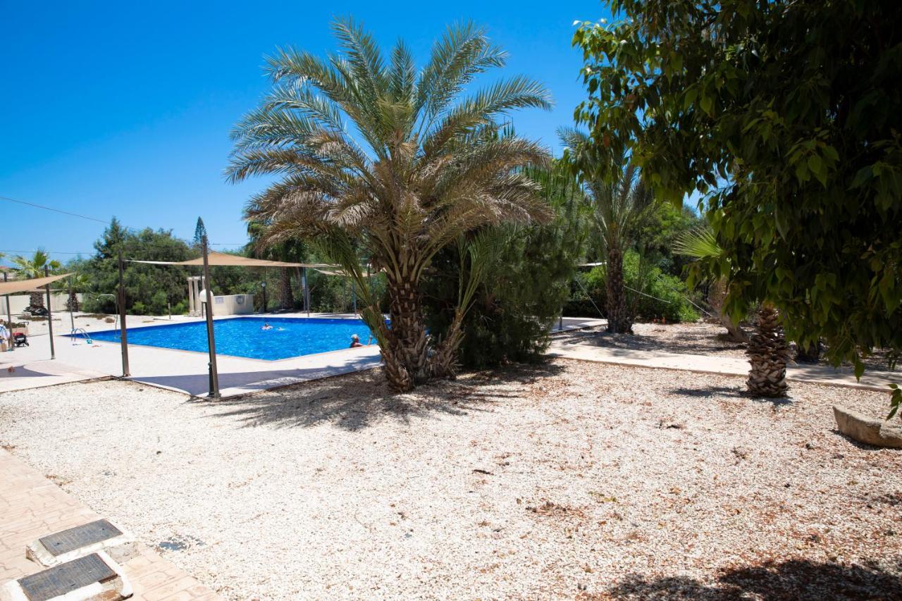 Marcelia Napa Suites Agia Napa