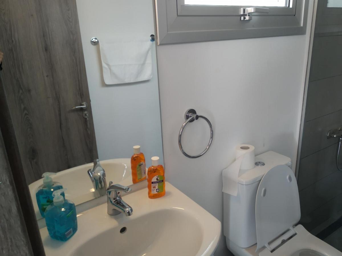 Modern Newly Furnished