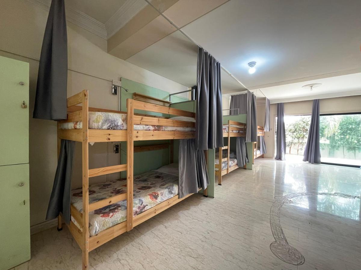 House Of Nissus Albergue Agia Napa