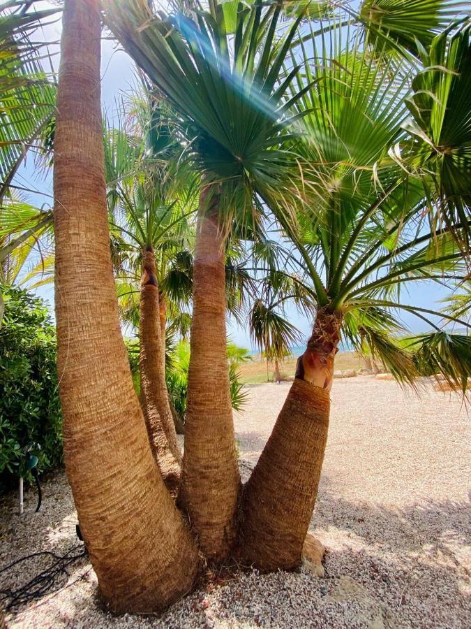 Whitekey Cyprus Villa *