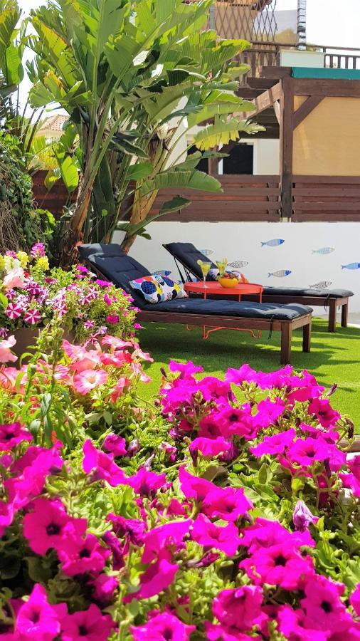 Villa Palm Paradise *