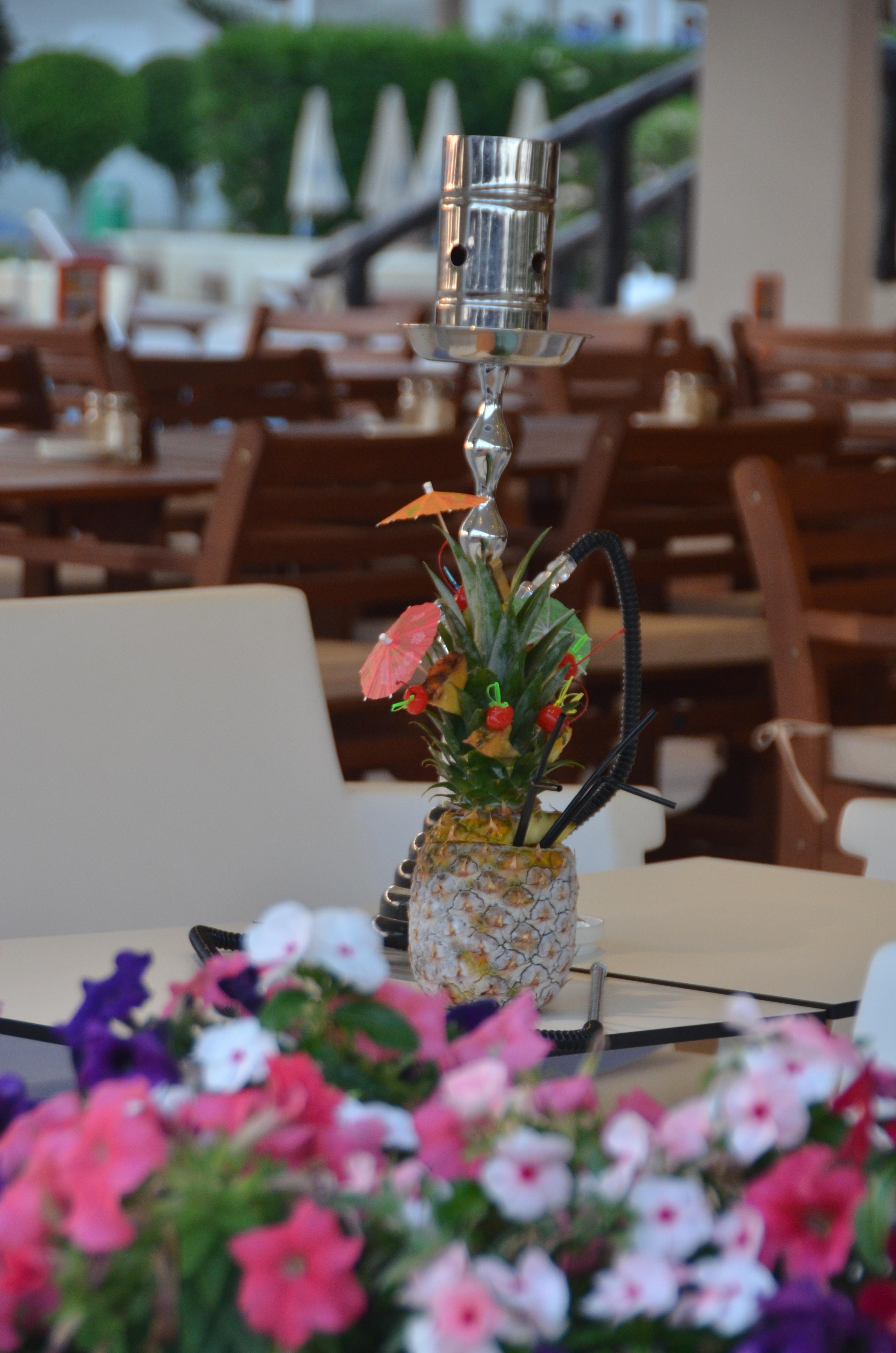 Adams Hotel&spa Resort 5*