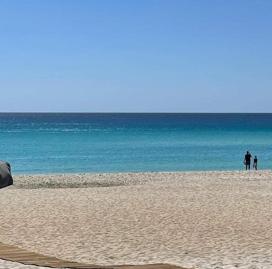 Nissi Golden Sands Sunny A1d4 Apartamento