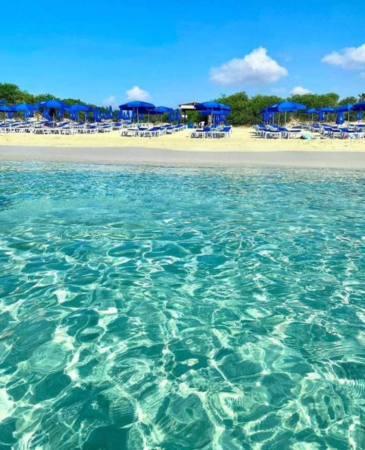 Apartamento Nissi Golden Sands Sunny A1d4 *