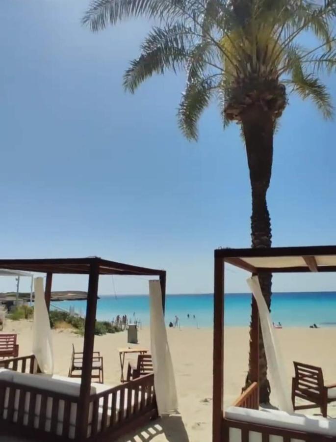 Apartment Nissi Golden Sands Sea View 2 Bedroom