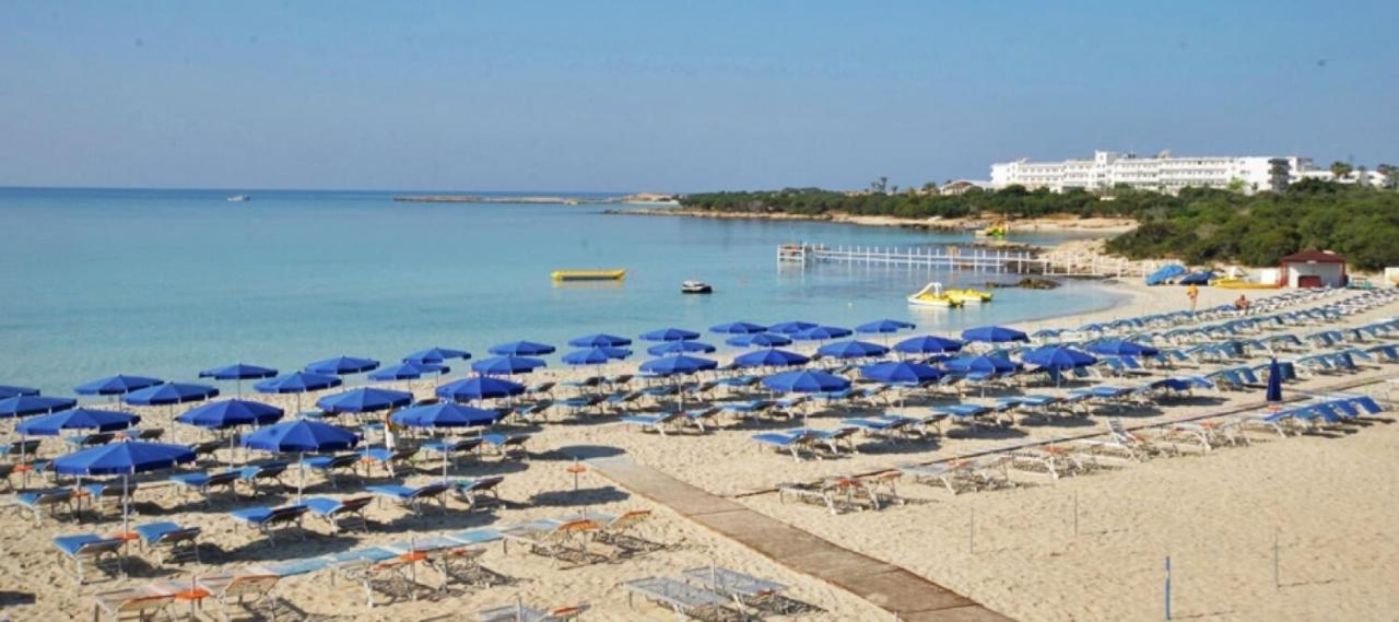 Carmel * Ayia Napa