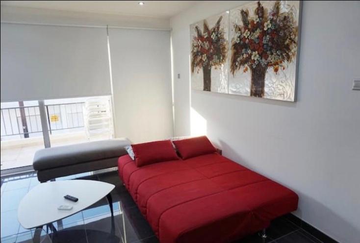 Luxury Apartment *