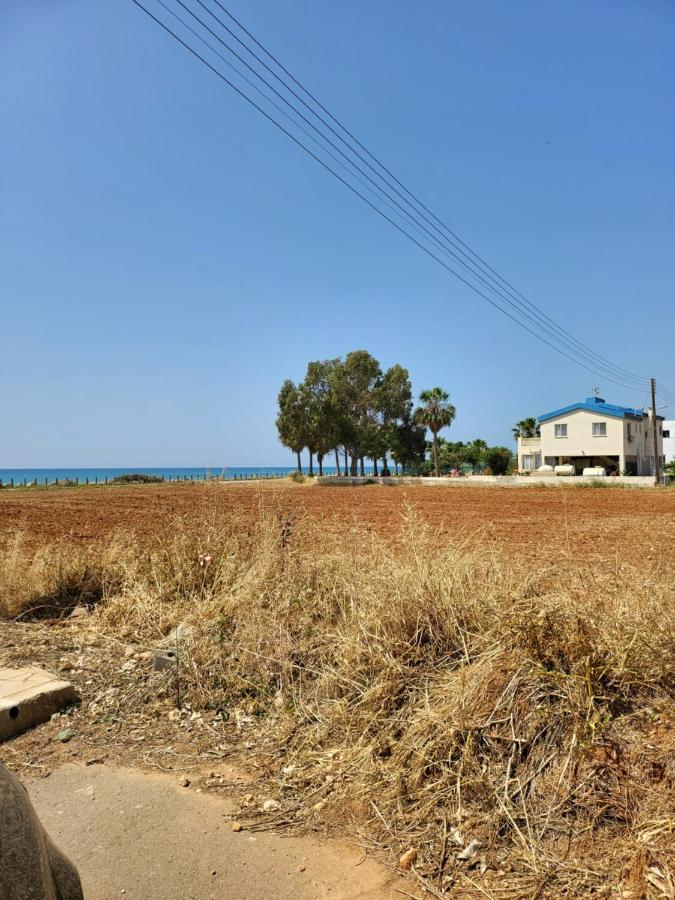 Joia * Agia Napa